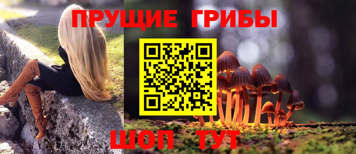 Галлюциногенные грибы Psilocybe Крымск