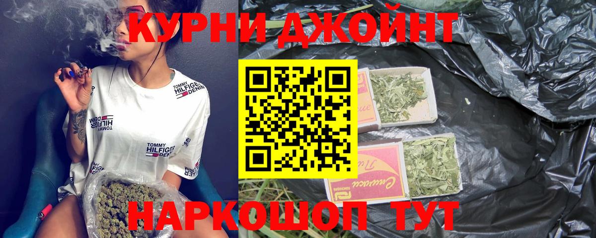 Конопля OG Kush Крымск